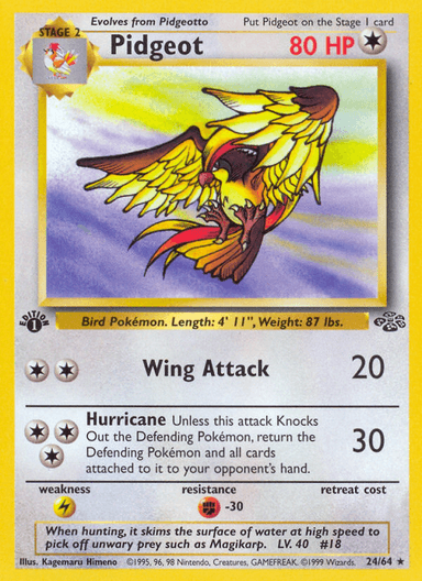 Pidgeot, Jungle 24