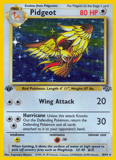 Pidgeot, Jungle 8