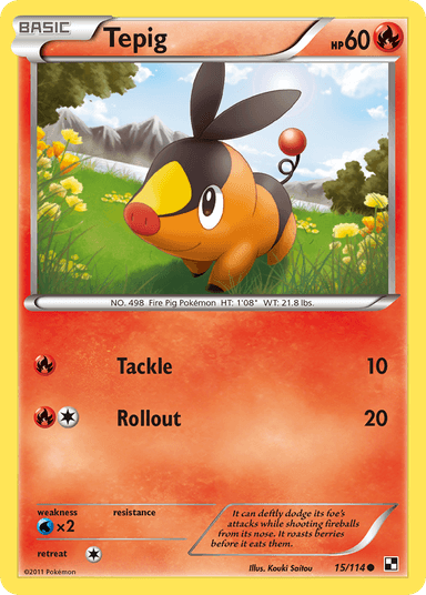 Tepig, Black & White 15