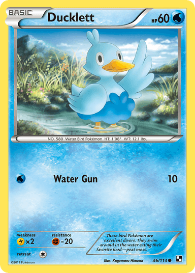 Ducklett, Black & White 36