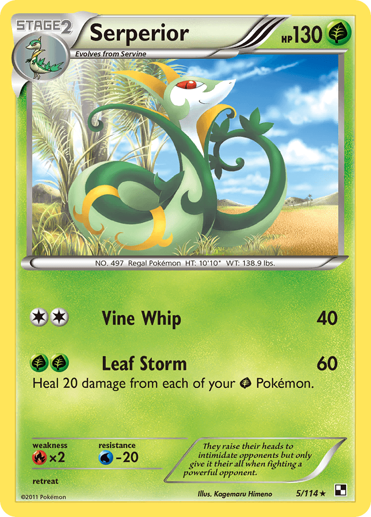 Serperior, Black & White 5