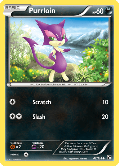 Purrloin, Black & White 66