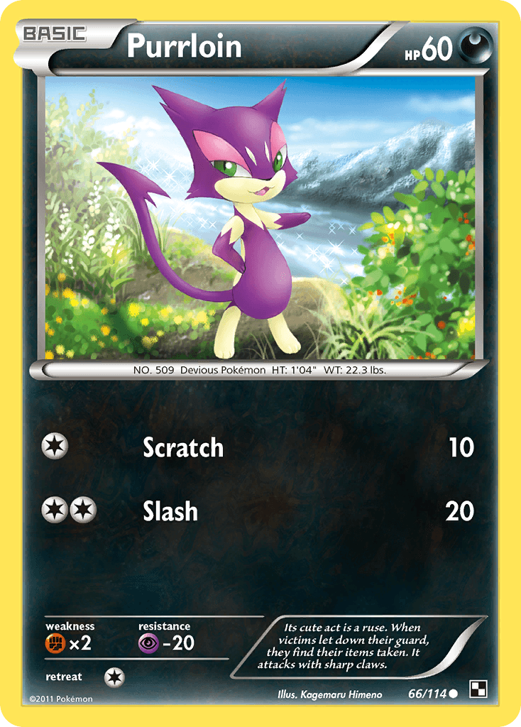 Purrloin, Black & White 66