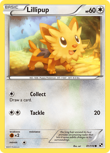 Lillipup, Black & White 81