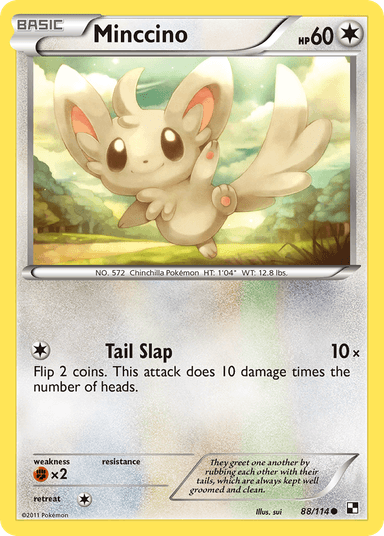 Minccino, Black & White 88