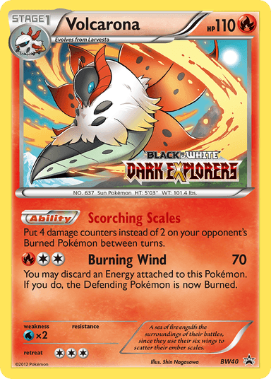 Volcarona, BW Black Star Promos BW40
