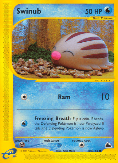 Swinub, Skyridge 107