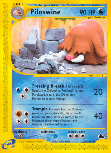 Piloswine, Skyridge 24