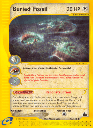 Buried Fossil, Skyridge 47