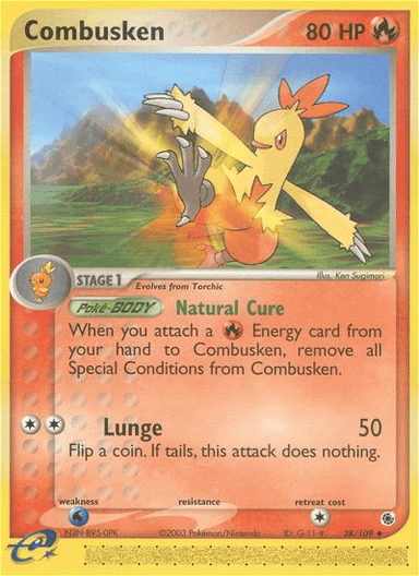 Combusken, Ruby & Sapphire 28