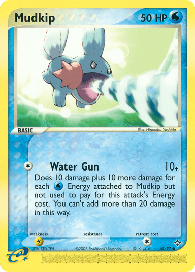 Mudkip, Dragon 65