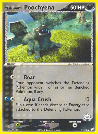 Team Aqua's Poochyena, Team Magma vs Team Aqua 55