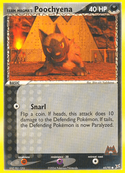 Team Magma's Poochyena, Team Magma vs Team Aqua 65