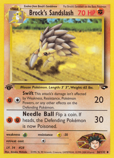 Brock's Sandslash, Gym Challenge 36
