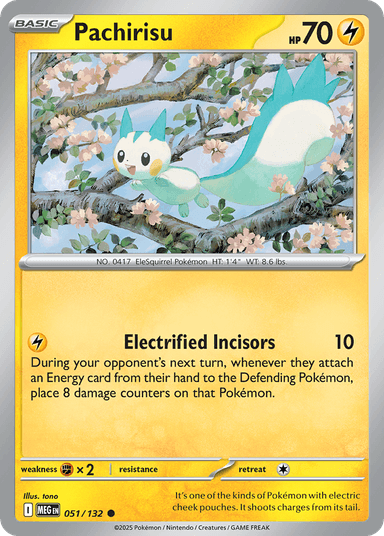 Pachirisu, Mega Evolution 51