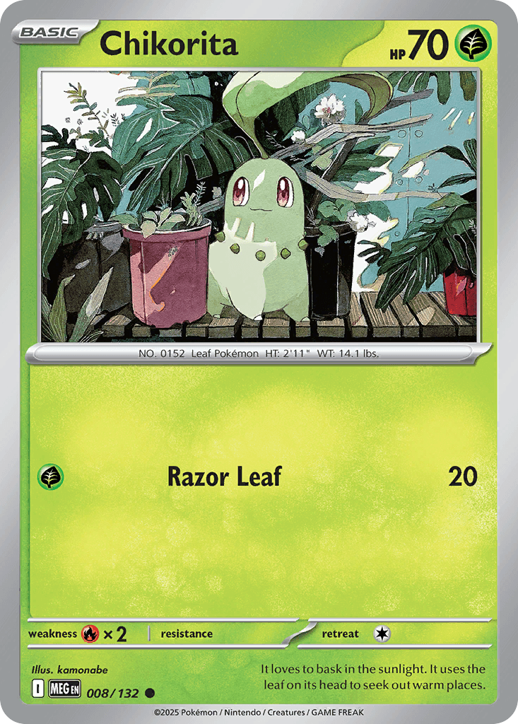 Chikorita, Mega Evolution 8