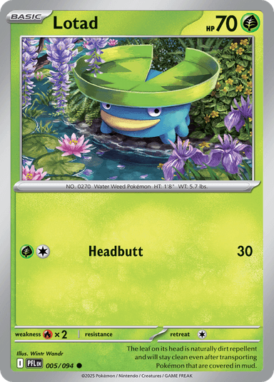 Lotad, Phantasmal Flames 5