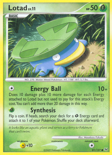 Lotad, Platinum 81