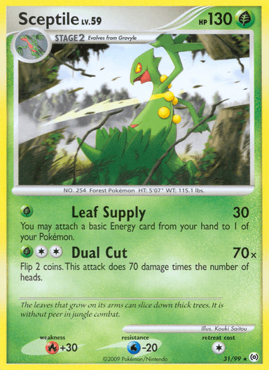 Sceptile, Arceus 31