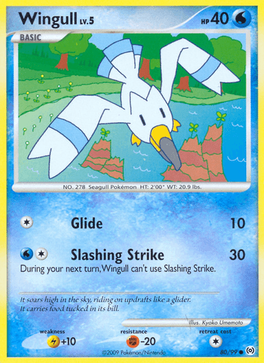 Wingull, Arceus 80