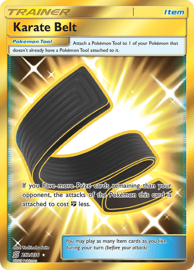 Karate Belt, Unified Minds 252