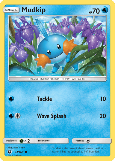 Mudkip, Celestial Storm 33