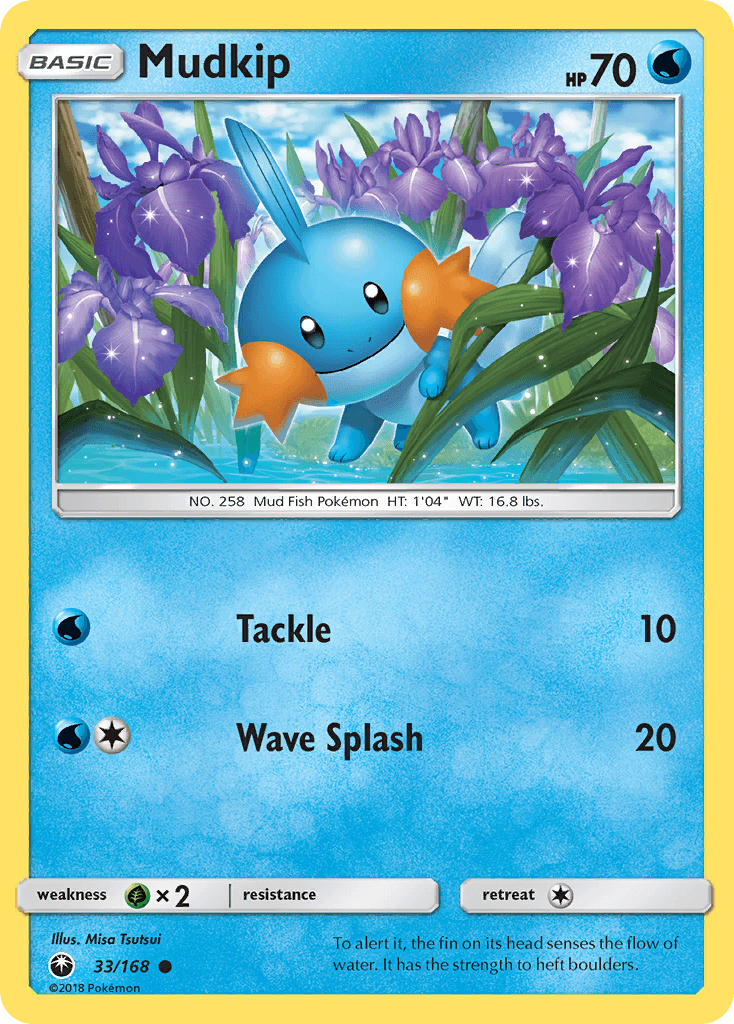 Mudkip, Celestial Storm 33