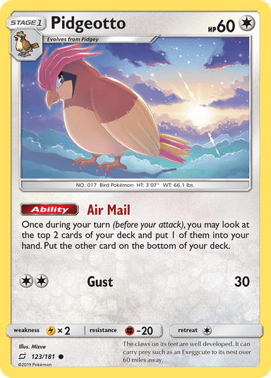 Pidgeotto, Team Up 123