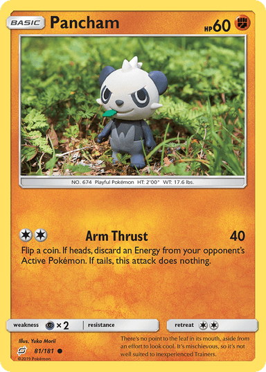 Pancham, Team Up 81