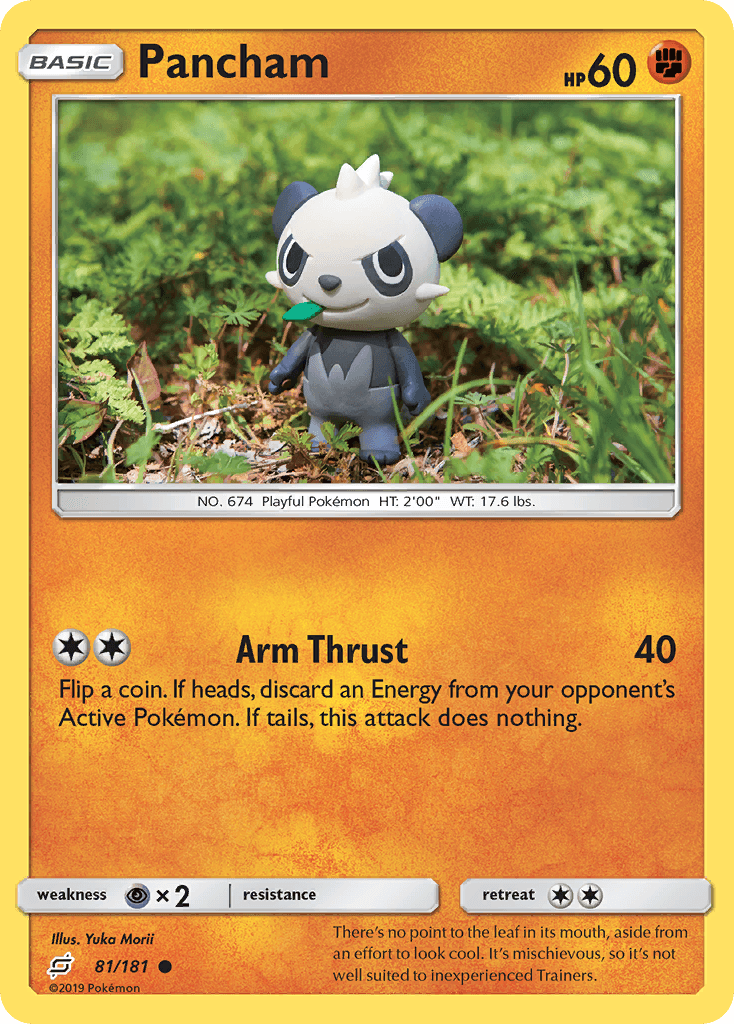 Pancham, Team Up 81
