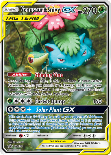 Venusaur & Snivy-GX, SM Black Star Promos SM229