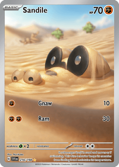 Sandile, Scarlet & Violet 216
