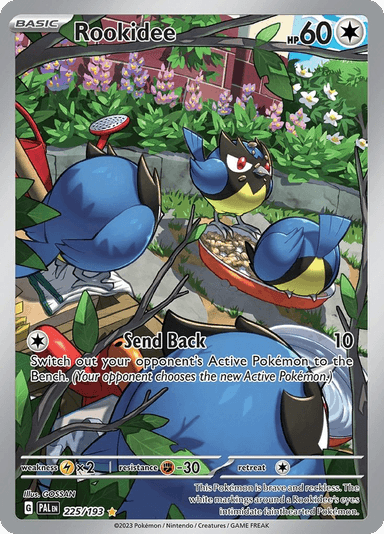Rookidee, Paldea Evolved 225