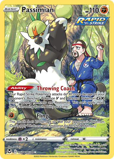 Passimian, Silver Tempest Trainer Gallery TG08