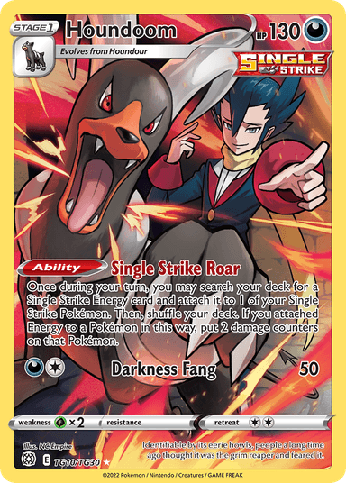Houndoom, Brilliant Stars Trainer Gallery TG10