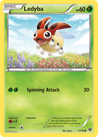 Ledyba, XY 6