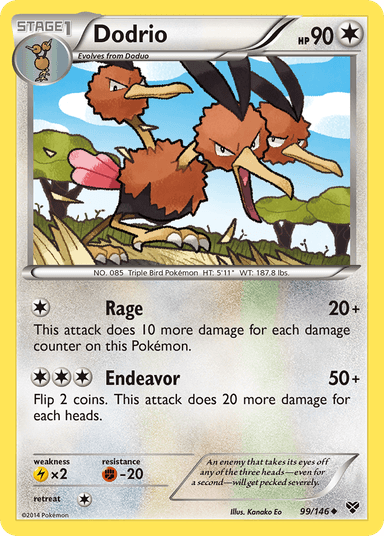 Dodrio, XY 99