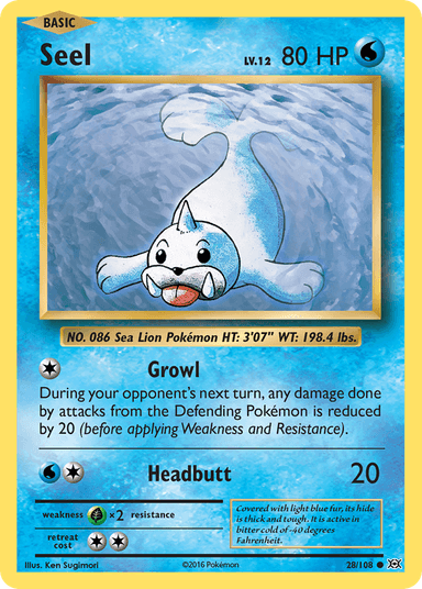 Seel, Evolutions 28