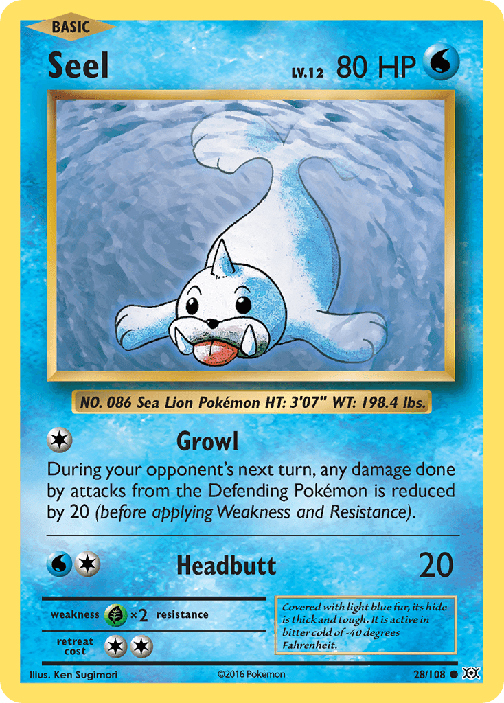 Seel, Evolutions 28