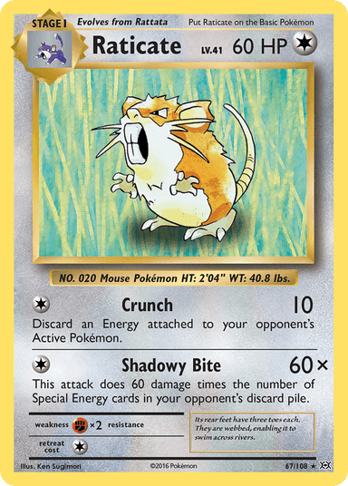 Raticate, Evolutions 67