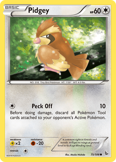 Pidgey, Flashfire 75