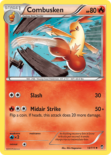 Combusken, Furious Fists 13