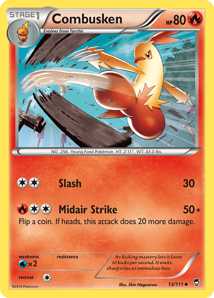 Combusken, Furious Fists 13