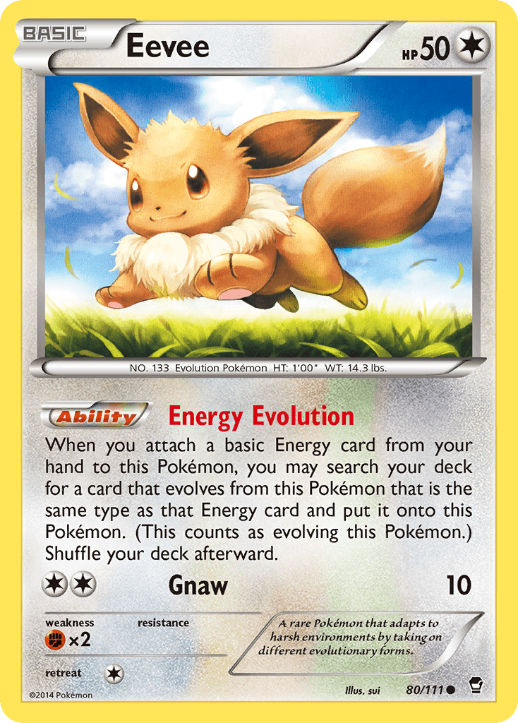 Eevee, Furious Fists 80