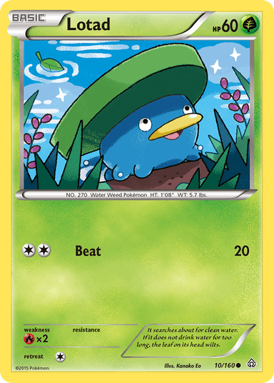 Lotad, Primal Clash 10