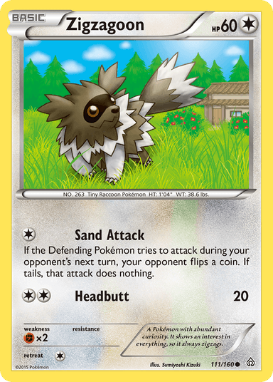 Zigzagoon, Primal Clash 111