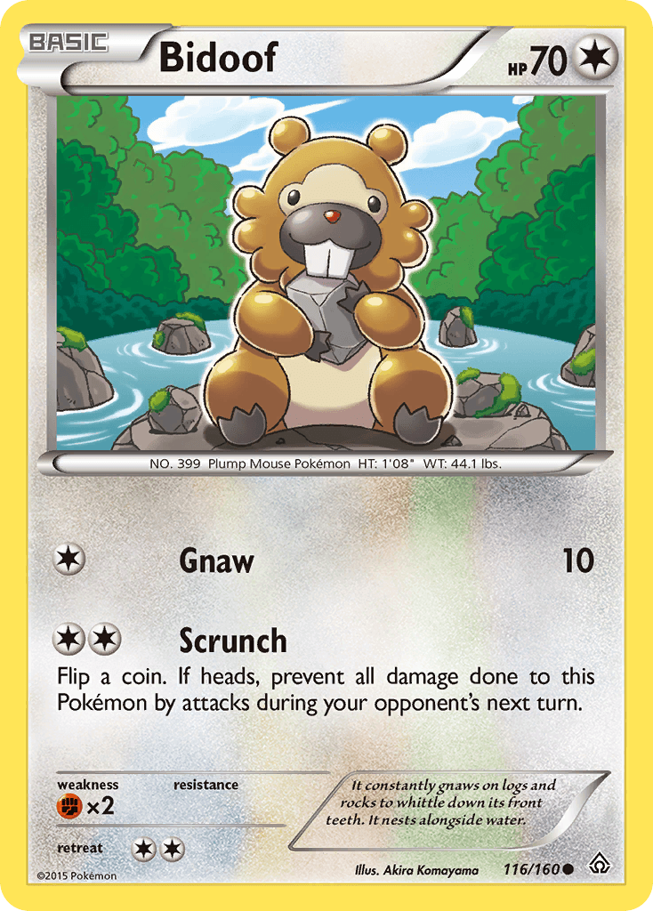 Bidoof, Primal Clash 116