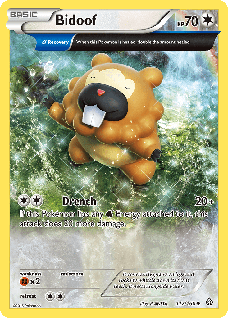 Bidoof, Primal Clash 117