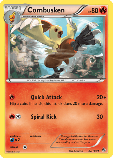 Combusken, Primal Clash 27