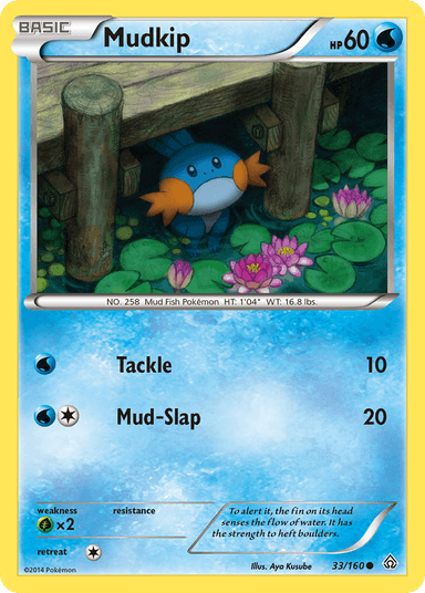 Mudkip, Primal Clash 33